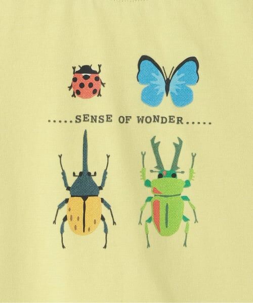 sense of wonder / センス オブ ワンダー Tシャツ | 接触冷感昆虫プリント半袖Ｔシャツ | 詳細3