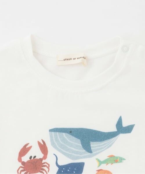 sense of wonder / センス オブ ワンダー Tシャツ | 接触冷感海の生物プリント半袖Tシャツ | 詳細2