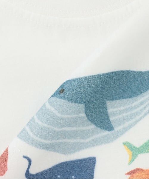 sense of wonder / センス オブ ワンダー Tシャツ | 接触冷感海の生物プリント半袖Tシャツ | 詳細5