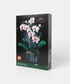 BLOMSTER　LEGO　コチョウラン