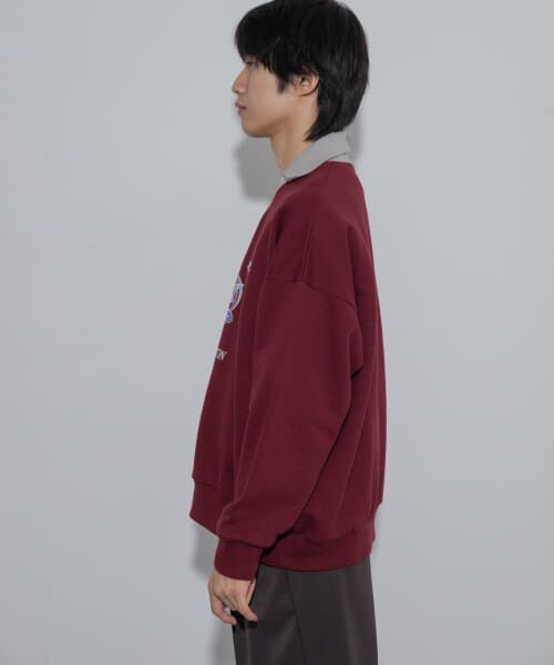 SENSE OF PLACE by URBAN RESEARCH / センスオブプレイス バイ アーバンリサーチ スウェット | Game Graphic Long-Sleeve Sweat | 詳細26