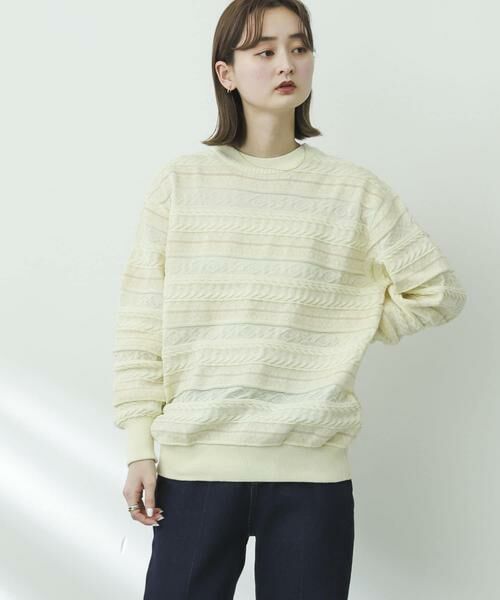 SENSE OF PLACE by URBAN RESEARCH / センスオブプレイス バイ アーバンリサーチ ニット・セーター | 『イージーケア』マルチジャガードセーター | 詳細30