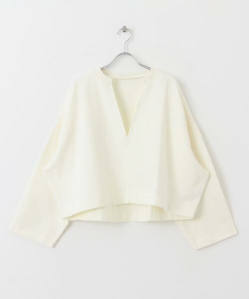 SENSE OF PLACE by URBAN RESEARCH / センスオブプレイス バイ アーバンリサーチ Tシャツ | Vネッククロップドトップ | 詳細25