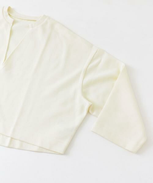 SENSE OF PLACE by URBAN RESEARCH / センスオブプレイス バイ アーバンリサーチ Tシャツ | Vネッククロップドトップ | 詳細26