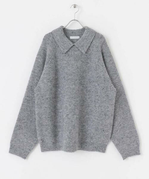 SENSE OF PLACE by URBAN RESEARCH / センスオブプレイス バイ アーバンリサーチ ニット・セーター | カラーネップニットポロセーター | 詳細9