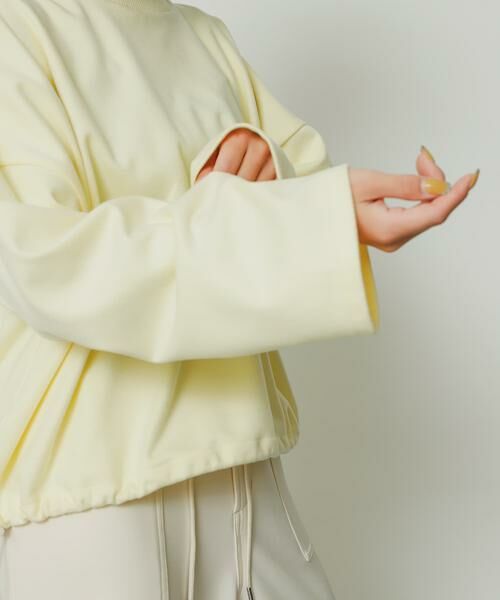 SENSE OF PLACE by URBAN RESEARCH / センスオブプレイス バイ アーバンリサーチ Tシャツ | ウールライクジャージープルオーバー | 詳細1