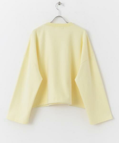 SENSE OF PLACE by URBAN RESEARCH / センスオブプレイス バイ アーバンリサーチ Tシャツ | ウールライクジャージープルオーバー | 詳細15