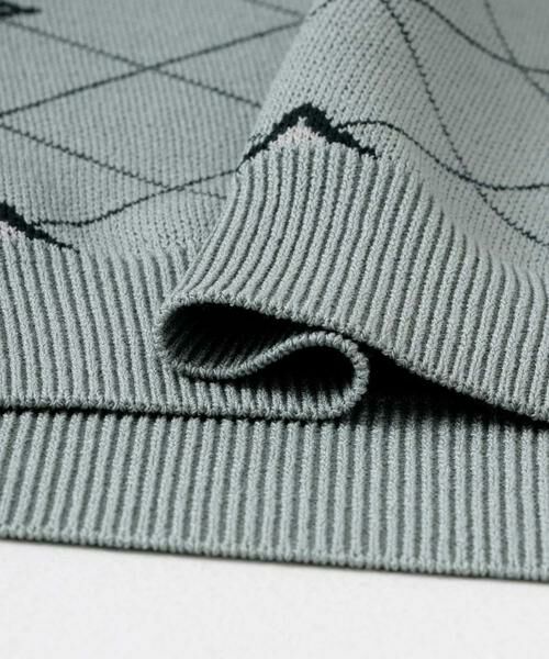 SENSE OF PLACE by URBAN RESEARCH / センスオブプレイス バイ アーバンリサーチ ニット・セーター | フラワージャガードニットポロ | 詳細21