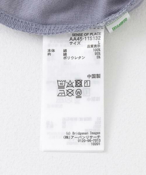 SENSE OF PLACE by URBAN RESEARCH / センスオブプレイス バイ アーバンリサーチ Tシャツ | 『別注』グラフィックアートTシャツ(5分袖)D | 詳細13