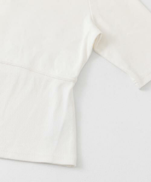 SENSE OF PLACE by URBAN RESEARCH / センスオブプレイス バイ アーバンリサーチ Tシャツ | ウエストリブコンパクトトップ | 詳細20