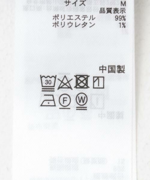 SENSE OF PLACE by URBAN RESEARCH / センスオブプレイス バイ アーバンリサーチ ポロシャツ | シアーペイズリーポロシャツ | 詳細12