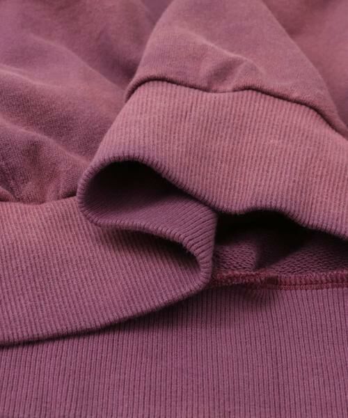 SENSE OF PLACE by URBAN RESEARCH / センスオブプレイス バイ アーバンリサーチ スウェット | 『ユニセックス』ヴィンテージライクスウェット | 詳細23