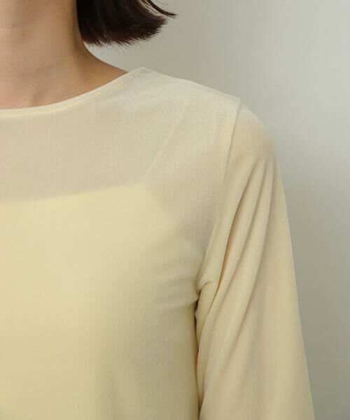 SENSE OF PLACE by URBAN RESEARCH / センスオブプレイス バイ アーバンリサーチ Tシャツ | シアーベロアTシャツ(半袖) | 詳細27