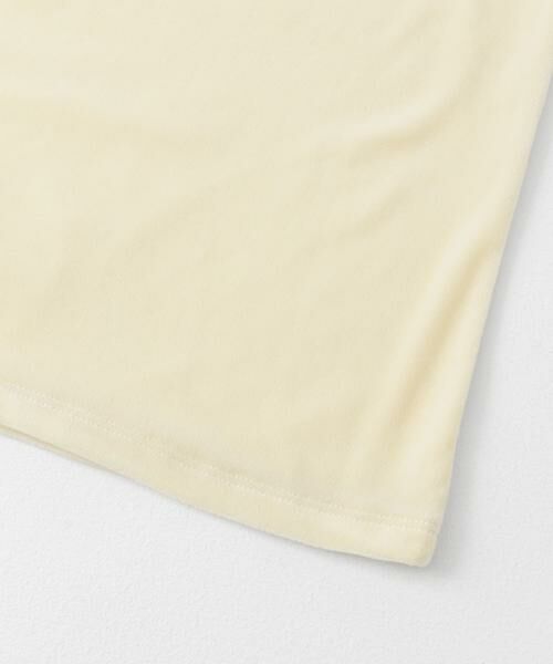 SENSE OF PLACE by URBAN RESEARCH / センスオブプレイス バイ アーバンリサーチ Tシャツ | シアーベロアTシャツ(半袖) | 詳細29