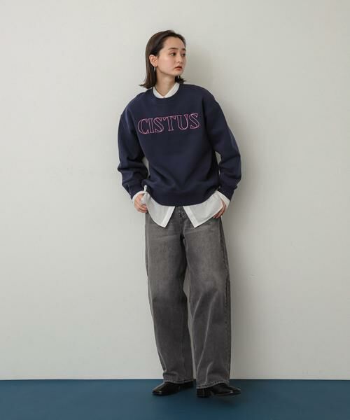 SENSE OF PLACE by URBAN RESEARCH / センスオブプレイス バイ アーバンリサーチ スウェット | シシュウグラフィックルーズスウェット | 詳細30