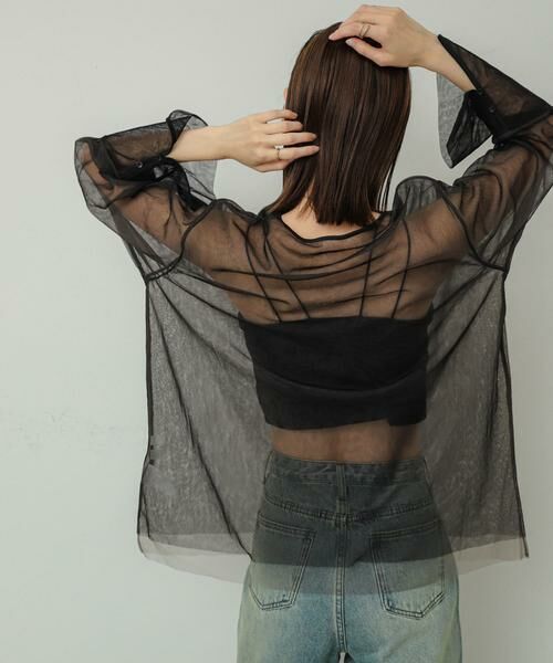 SENSE OF PLACE by URBAN RESEARCH / センスオブプレイス バイ アーバンリサーチ Tシャツ | シアーチュールトップ | 詳細25