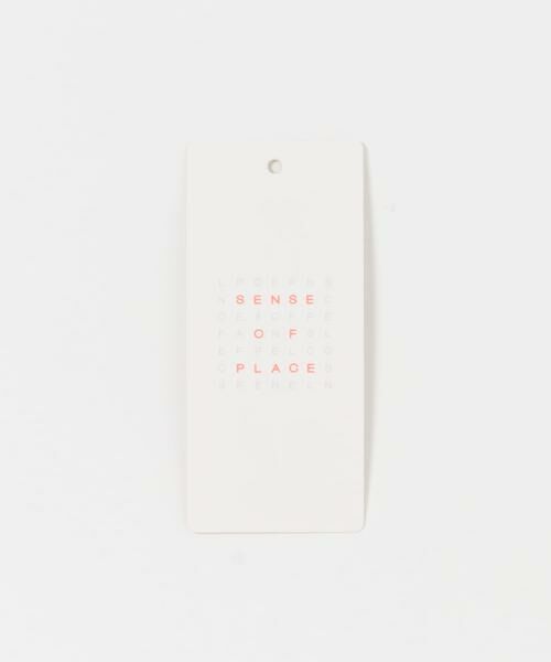 SENSE OF PLACE by URBAN RESEARCH / センスオブプレイス バイ アーバンリサーチ Tシャツ | ラウンドテールシアールーズトップ | 詳細9