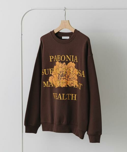 SENSE OF PLACE by URBAN RESEARCH / センスオブプレイス バイ アーバンリサーチ スウェット | ボタニカルグラフィッククルーネックスウェット | 詳細11