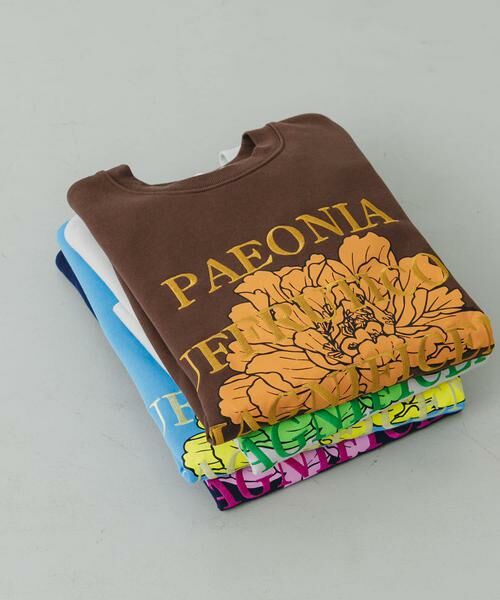 SENSE OF PLACE by URBAN RESEARCH / センスオブプレイス バイ アーバンリサーチ スウェット | ボタニカルグラフィッククルーネックスウェット | 詳細12