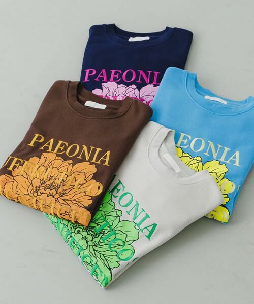 SENSE OF PLACE by URBAN RESEARCH / センスオブプレイス バイ アーバンリサーチ スウェット | ボタニカルグラフィッククルーネックスウェット | 詳細13