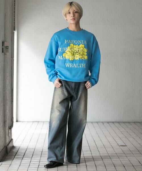 SENSE OF PLACE by URBAN RESEARCH / センスオブプレイス バイ アーバンリサーチ スウェット | ボタニカルグラフィッククルーネックスウェット | 詳細24