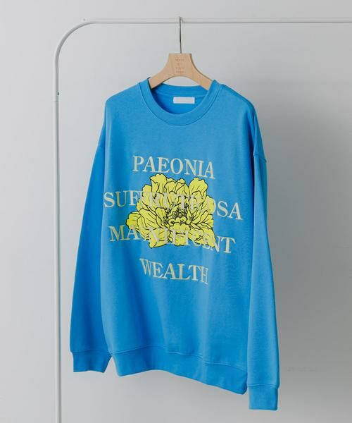 SENSE OF PLACE by URBAN RESEARCH / センスオブプレイス バイ アーバンリサーチ スウェット | ボタニカルグラフィッククルーネックスウェット | 詳細26