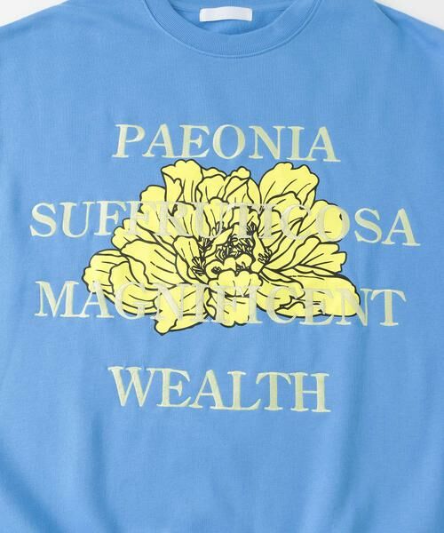 SENSE OF PLACE by URBAN RESEARCH / センスオブプレイス バイ アーバンリサーチ スウェット | ボタニカルグラフィッククルーネックスウェット | 詳細28