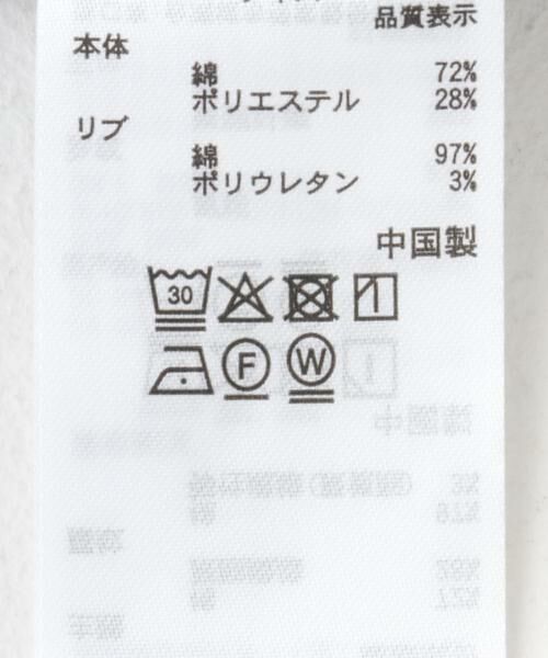 SENSE OF PLACE by URBAN RESEARCH / センスオブプレイス バイ アーバンリサーチ スウェット | Negro Leagues　クルーネックスウェット | 詳細10