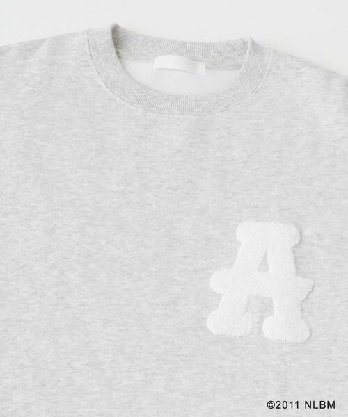 SENSE OF PLACE by URBAN RESEARCH / センスオブプレイス バイ アーバンリサーチ スウェット | Negro Leagues　クルーネックスウェット | 詳細27