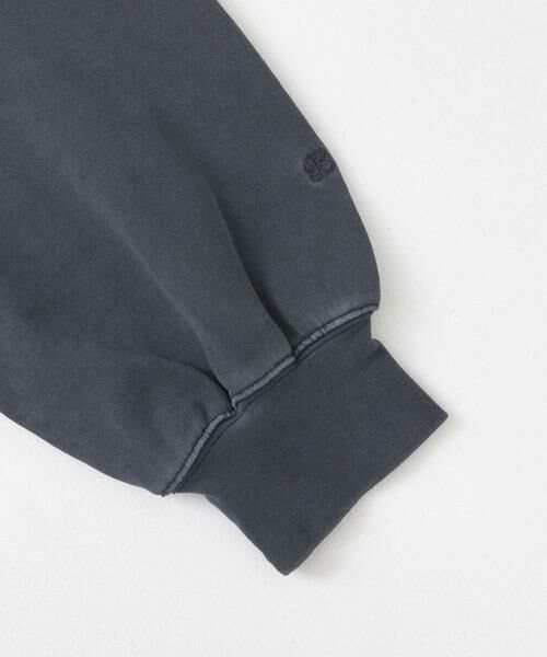 SENSE OF PLACE by URBAN RESEARCH / センスオブプレイス バイ アーバンリサーチ スウェット | ピグメントクロップドスウェット | 詳細12