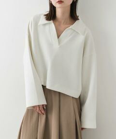 SENSE OF PLACE by URBAN RESEARCH / センスオブプレイス バイ アーバンリサーチ Tシャツ | ワイドスリーブエリツキクロップドトップ