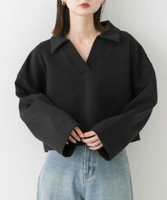 SENSE OF PLACE by URBAN RESEARCH / センスオブプレイス バイ アーバンリサーチ Tシャツ | ワイドスリーブエリツキクロップドトップ