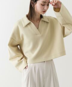 SENSE OF PLACE by URBAN RESEARCH / センスオブプレイス バイ アーバンリサーチ Tシャツ | ワイドスリーブエリツキクロップドトップ