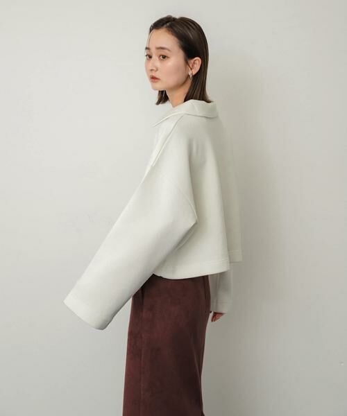 SENSE OF PLACE by URBAN RESEARCH / センスオブプレイス バイ アーバンリサーチ Tシャツ | ワイドスリーブエリツキクロップドトップ | 詳細10