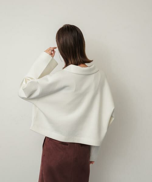 SENSE OF PLACE by URBAN RESEARCH / センスオブプレイス バイ アーバンリサーチ Tシャツ | ワイドスリーブエリツキクロップドトップ | 詳細11