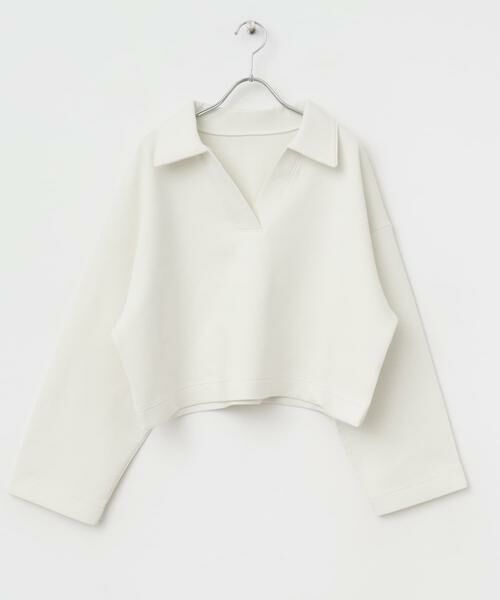 SENSE OF PLACE by URBAN RESEARCH / センスオブプレイス バイ アーバンリサーチ Tシャツ | ワイドスリーブエリツキクロップドトップ | 詳細14