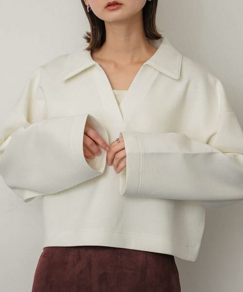 SENSE OF PLACE by URBAN RESEARCH / センスオブプレイス バイ アーバンリサーチ Tシャツ | ワイドスリーブエリツキクロップドトップ | 詳細8