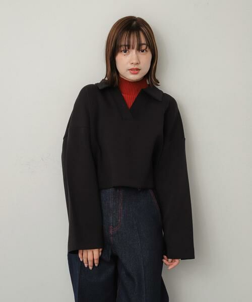 SENSE OF PLACE by URBAN RESEARCH / センスオブプレイス バイ アーバンリサーチ Tシャツ | ワイドスリーブエリツキクロップドトップ | 詳細26