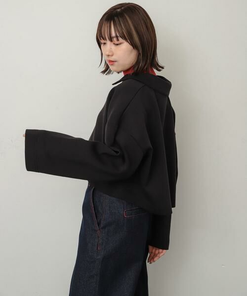 SENSE OF PLACE by URBAN RESEARCH / センスオブプレイス バイ アーバンリサーチ Tシャツ | ワイドスリーブエリツキクロップドトップ | 詳細24