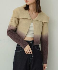 SENSE OF PLACE by URBAN RESEARCH / センスオブプレイス バイ アーバンリサーチ ニット・セーター | グラデーションクロップドセーター