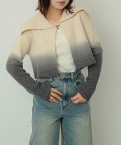 SENSE OF PLACE by URBAN RESEARCH / センスオブプレイス バイ アーバンリサーチ ニット・セーター | グラデーションクロップドセーター