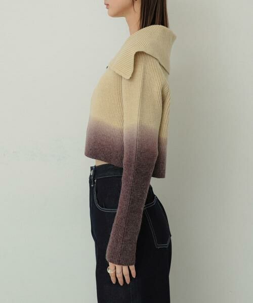 SENSE OF PLACE by URBAN RESEARCH / センスオブプレイス バイ アーバンリサーチ ニット・セーター | グラデーションクロップドセーター | 詳細12