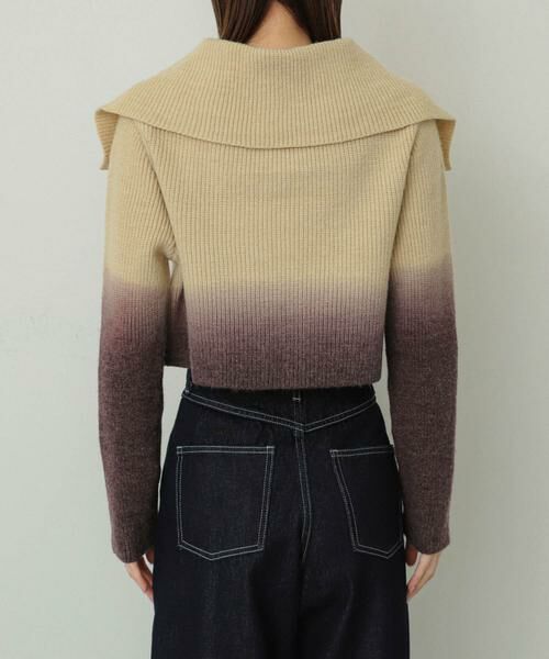 SENSE OF PLACE by URBAN RESEARCH / センスオブプレイス バイ アーバンリサーチ ニット・セーター | グラデーションクロップドセーター | 詳細13