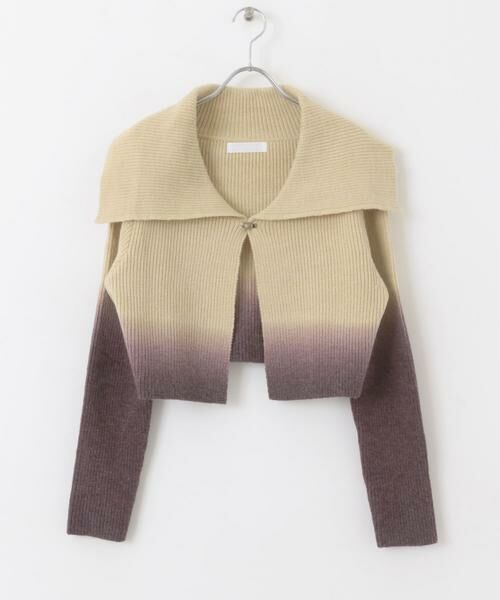 SENSE OF PLACE by URBAN RESEARCH / センスオブプレイス バイ アーバンリサーチ ニット・セーター | グラデーションクロップドセーター | 詳細15