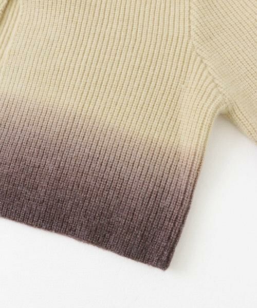 SENSE OF PLACE by URBAN RESEARCH / センスオブプレイス バイ アーバンリサーチ ニット・セーター | グラデーションクロップドセーター | 詳細16