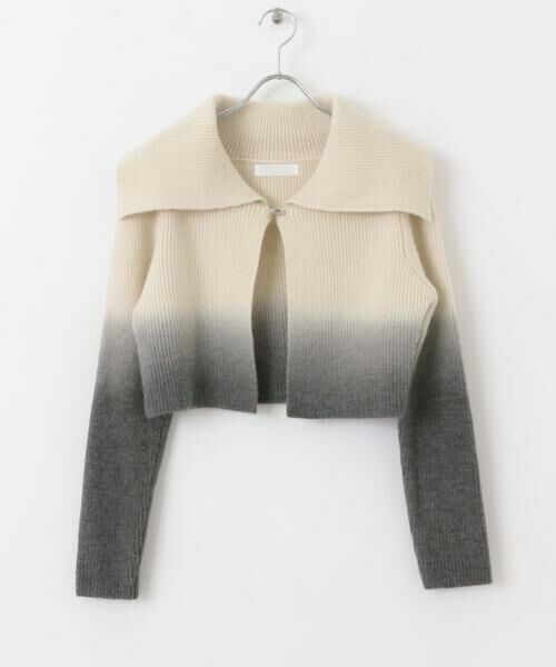 SENSE OF PLACE by URBAN RESEARCH / センスオブプレイス バイ アーバンリサーチ ニット・セーター | グラデーションクロップドセーター | 詳細22