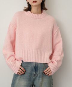 SENSE OF PLACE by URBAN RESEARCH / センスオブプレイス バイ アーバンリサーチ ニット・セーター | ワイドリブクルーネックセーター