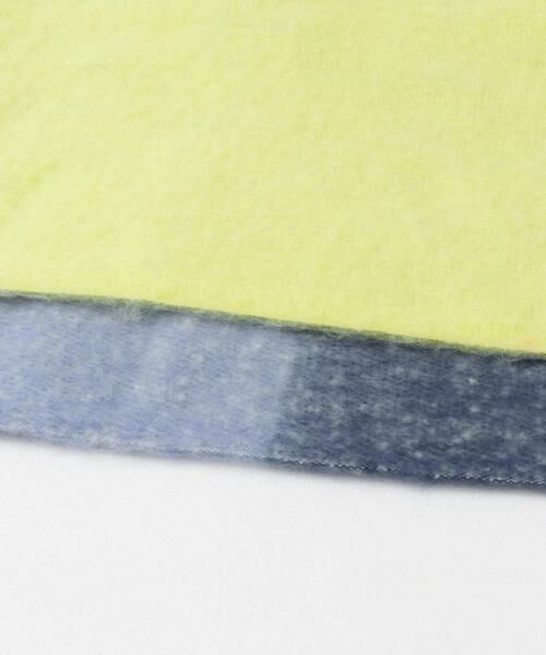 SENSE OF PLACE by URBAN RESEARCH / センスオブプレイス バイ アーバンリサーチ マフラー・ショール・スヌード・ストール | 『一部WEB限定カラー』パネルボーダーストール | 詳細20