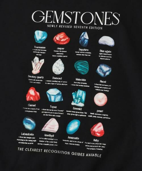 SENSE OF PLACE by URBAN RESEARCH / センスオブプレイス バイ アーバンリサーチ スウェット | Gem Stone Cropped Sweat | 詳細28