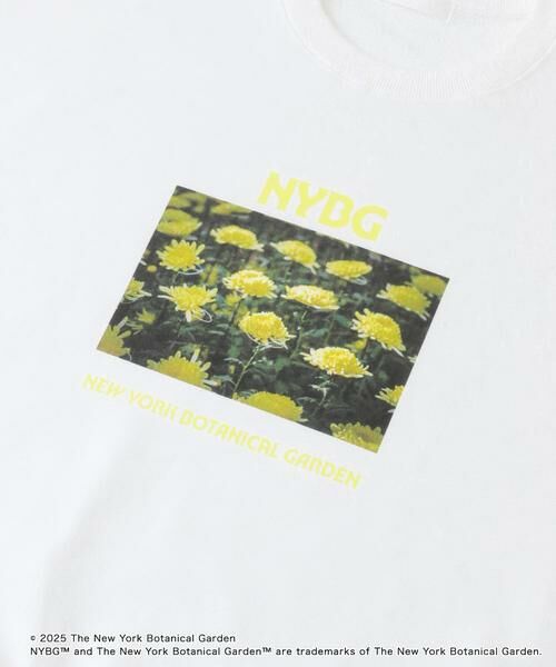 SENSE OF PLACE by URBAN RESEARCH / センスオブプレイス バイ アーバンリサーチ スウェット | NYBG　クルーネックルーズスウェットB | 詳細26